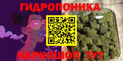 прущие грибы Кумертау